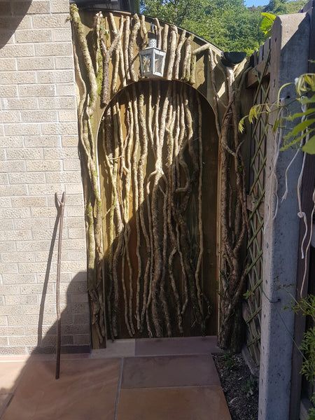 A SECRET SIDE PATHWAY Covered With CANOFIX Door Canopy.